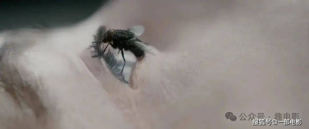 无码8090精品久久一区_抢先版5.53