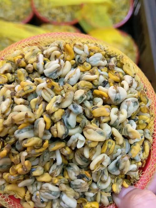 精品久久自慰_KDC8.8