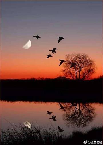 日本久久网站 第3页