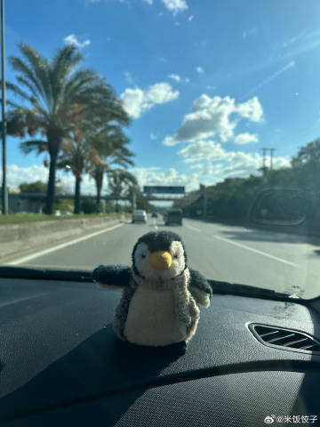 一级a久久国内_LLK2.577